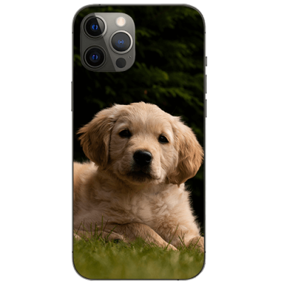 iphone 12 perro